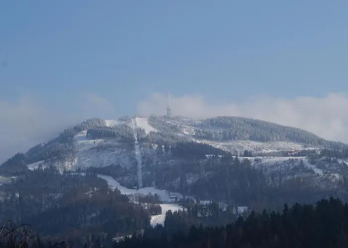 Bed & Breakfast Willa Ala Szczyrk